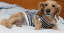 送料無料 ペットウェア ニット セーター 犬服 猫服 洋服 ドッグウェア キャットウェア プルオーバー 袖あり ケーブル編み カジュアル お洒落 可愛い ペット服 犬の服 猫の服
