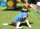 中型犬 柴犬 服 ビーグル 服 ひんや~り接触冷感 吸水速乾 ラッキースター クールクロス Tシャツ 袖なし おしゃれ 春夏 かわいい 専門店 ドッグウエア 犬の服 犬服 犬 秋冬