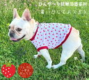 お買い物マラソンクーポン フレンチブルドッグ 服 ひんや~り接触冷感 吸水速乾 ストロベリサマー クールクロス Tシャツ おしゃれ フレブル服 春夏 かわいい フレブル 専門店 ドッグウエア 犬の服 犬服 犬