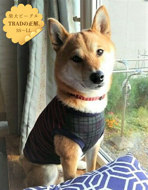 オールトラッドカットソーTシャツ 柴犬 服 ビーグル 服 インスタ映え かわいい おしゃれ 犬 小型犬 犬用 犬服ドッグウエア 犬の服 秋冬 中型犬 高齢犬 病気 シニア犬 着せやすい 抜け毛対策 乾燥予防 洗濯OK