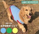ミニチュアダックス 服 夏 ダックス おしゃれ ds 専門店 コーギー 服 無地 お手軽シンプルTシャツ ライトブルー