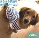 10%OFF サラサラ肌触り涼感 ミニチュアダックスフンド 服 ダックス 服 ペット服 小型犬 ベーシック紺ボーダー Tシャツ 秋冬 夏服 おしゃれ ds ひんやり 専門店 チワワ トイプードル 犬 小型犬 犬用ドッグウエア 犬の服 犬服 犬 洋服