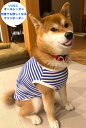 涼感 サラサラ肌触り 柴犬 服 中型犬 服 定番マリンボーダー Tシャツ 秋冬 春夏 夏用 ひんやり インスタ映え おしゃれ 専門店 ドッグウエア 犬の服 小型犬用 チワワ トイプードル 夏服 春服 夏用 春物 夏物