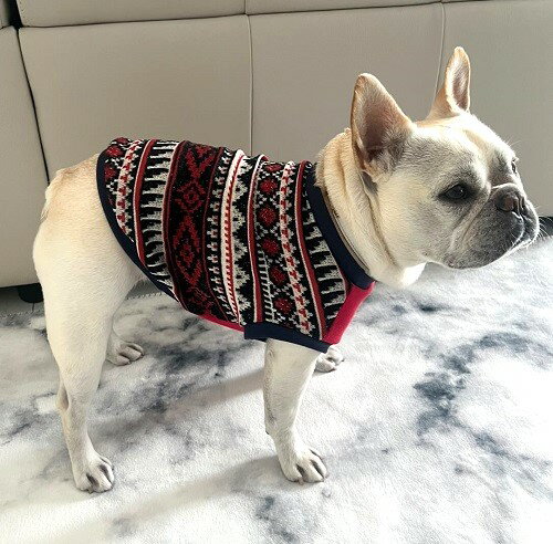 フレンチブルドッグ 服 小型犬 レッドノルディック ジャガード 薄手素材 ペット服 おしゃれ フレブル 服 秋冬 ドッグウェア かわいい フレブル 専門店 パグ 服 インスタ映え チワワ トイプードル 高齢犬 シニア犬 着せやすい 抜け毛対策 乾燥予防