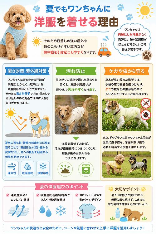 ダックスフンド コーギー 服 おしゃれ dmサイズ 専門店 クールでスタイリッシュ ペンギンドドドドドドドドド ベア天竺カットソー 秋冬 高齢犬 シニア犬 着せやすい 抜け毛対策 乾燥予防 hibi-days-10001100 犬の服 首輪 犬のリードの通販hibi サンプル画像3