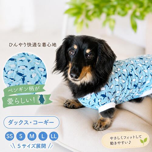ダックスフンド コーギー 服 おしゃれ dmサイズ 専門店 クールでスタイリッシュ ペンギンドドドドドドドドド ベア天竺カットソー 秋冬 高齢犬 シニア犬 着せやすい 抜け毛対策 乾燥予防 hibi-days-10001100 犬の服 首輪 犬のリードの通販hibi パッケージ画像
