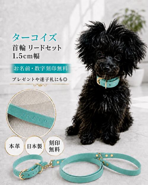 楽天市場】犬 首輪 ターコイズの通販