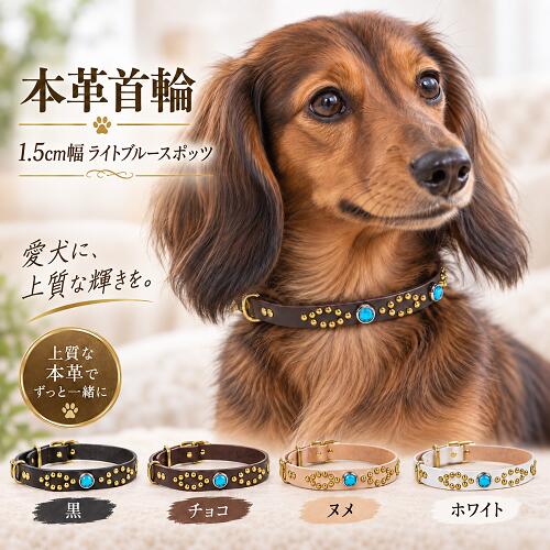 楽天市場】犬 首輪 ターコイズの通販