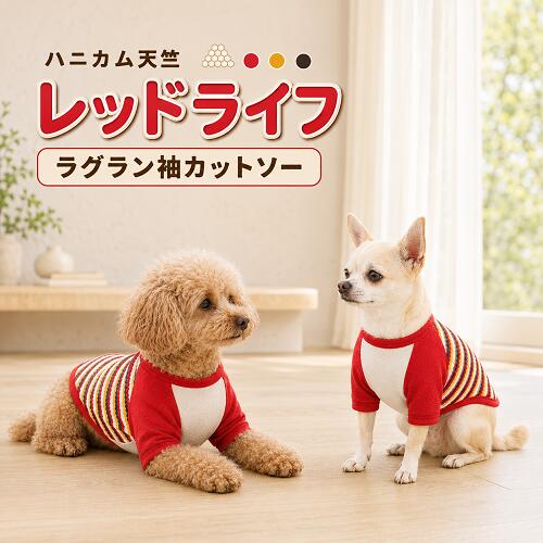 小型犬服 犬の服 チワワ 服 トイプードル 服 ハニカム天竺レッドライフラグラン袖カットソー かわいい おしゃれ 安い 秋冬 マルチーズ ヨーキー 高齢犬 病気 シニア犬 着せやすい 抜け毛対策 乾燥予防 洗濯OK