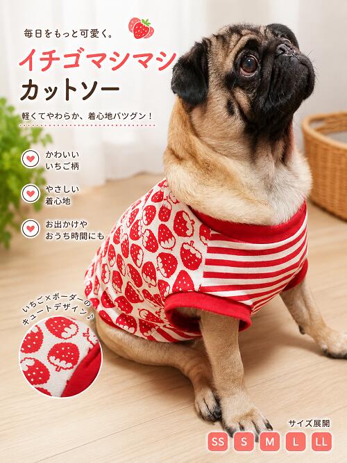 その他のフレブル・パグ服はこちら ＜夏でも洋服を着てほしいワケ＞ ワンちゃんは肉球にしか汗腺がなく 発汗による体温調節がほとんど できないので暑さが苦手です。 そのため日差しの強い屋外や 熱のこもりやすい車内など 熱中症を引き起こしやすくなります。 ＜汚れ防止＞＜怪我や虫から守る＞ 雨上がりの路面や草むらなどが 濡れている時に 散歩をするとお腹周りが汚れることも。 草木が生い茂った場所では 小枝で怪我をしたり ダニ、蚊などの虫が毛の中に 入り込むこともあります。 また、ワンちゃん同士がじゃれ合う ドッグランでは服を一枚着せて 全身の汚れから守ることも。 ＜冷房対策＞ 飼い主さんにとっては適温でも ワンちゃんにとっては 寒すぎるという場面もあります。 そんなとき洋服を1着 バッグに忍ばせておくのもgood！ どうだイチゴマシマシだ！ 柔らかな接結ニットに隙間なく イチゴの詰め合わせをご用意いたしました。 リブやボーダーも赤を用いて統一感をプラス。 小型犬、ダックスサイズもご用意しております。 抜け毛予防にもお勧めで 肌触りにも考慮しております。 ご家庭で洗濯できますが、ネットに入れての 洗濯をおススメしております。 裁断箇所によって見え方も異なります。 モニターの発色の具合によって実際のものと色が 異なる場合がございますので予めご了承くださいませ。 その他のフレブル・パグ服はこちら サイズ SS 首周り（30cm〜34cm）胴回り（46cm〜50cm）着丈（27cm） S 首周り（34cm〜38cm）胴回り（50cm〜54cm）着丈（29cm） M 首周り（38cm〜42cm）胴回り（54cm〜58cm）着丈（32cm） L 首周り（42cm〜46cm）胴回り（58cm〜62cm）着丈（35cm） LL 首周り（46cm〜50cm）胴回り（62cm〜68cm）着丈（37cm） #フレンチブルドッグ　#パグ ＃ブルドッグ #中型犬#フレブル #フレブル服＃ブヒ服　