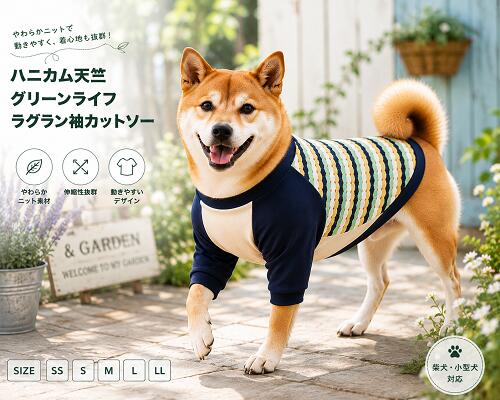 その他の中型犬服はこちら ＜夏でも洋服を着てほしいワケ＞ ワンちゃんは肉球にしか汗腺がなく 発汗による体温調節がほとんど できないので暑さが苦手です。 そのため日差しの強い屋外や 熱のこもりやすい車内など 熱中症を引き起こしやすくなります。 ＜汚れ防止＞＜怪我や虫から守る＞ 雨上がりの路面や草むらなどが 濡れている時に 散歩をするとお腹周りが汚れることも。 草木が生い茂った場所では 小枝で怪我をしたり ダニ、蚊などの虫が毛の中に 入り込むこともあります。 また、ワンちゃん同士がじゃれ合う ドッグランでは服を一枚着せて 全身の汚れから守ることも。 ＜冷房対策＞ 飼い主さんにとっては適温でも ワンちゃんにとっては 寒すぎるという場面もあります。 そんなとき洋服を1着 バッグに忍ばせておくのもgood！ 人気のハニカム天竺素材に ラグラン袖バージョン登場。 運動性もあり着せやすいです。 色違いもご用意しております。 身頃部分綿100％ リブ部分綿95％　ポリウレタン5％ 小型犬、ダックスサイズもご用意しております。 抜け毛予防にもお勧めで 肌触りにも考慮しております。 ご家庭で洗濯できますが ネットに入れての 洗濯をおススメしております。 裁断箇所によって見え方も異なります。 モニターの発色の具合によって 実際のものと色が異なる場合が ございますので 予めご了承くださいませ。 その他の中型犬服はこちら 商品詳細 サイズ SS　首周り24cm〜28cm　胴回り40cm〜45cm　着丈26cm S　首周り28cm〜32cm　胴回り44cm〜49cm　着丈29cm M　首周り32cm〜36cm　胴回り48cm〜53cm　着丈33cm L　首周り36cm〜40cm　胴回り52cm〜57cm　着丈37cm LL　首周り40cm〜44cm　胴回り56cm〜63cm　着丈41cm #柴犬　#ペット服　#いぬ服　#犬服　＃ビーグル＃ダックス＃チワワ ＃トイプードル＃シーズー＃フレンチブルドッグ　#中型犬　#小型犬　