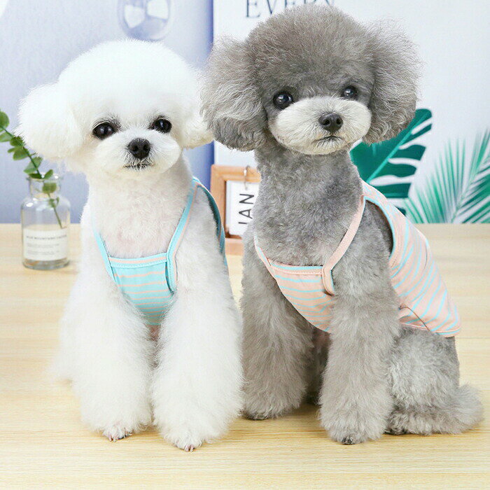 ヒビプラスの犬服ベストノースリーブtシャツタンクトップインナー犬服tシャツボーダー伸縮つなぎ部屋着パジャマ小型犬中型犬ネコ猫服春夏秋冬犬夏服ドッグウェア男の子女の子オスメスおしゃれオシャレかわいい可愛いyo2601｜アングル2