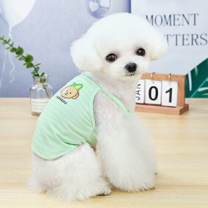 ヒビプラスの犬服ベストノースリーブtシャツタンクトップインナー犬服tシャツボーダー伸縮つなぎ部屋着パジャマ小型犬中型犬ネコ猫服春夏秋冬犬夏服ドッグウェア男の子女の子オスメスおしゃれオシャレかわいい可愛いyo2601｜アングル3