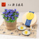 敬老の日 宗家 源 吉兆庵「月夜のうさぎ」とリンドウ(青)の花鉢セット スイーツセット 日比谷花壇