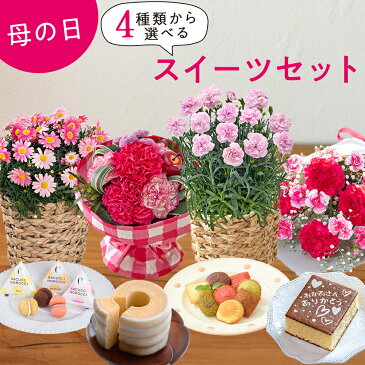 【日比谷花壇】母の日 花 ギフト プレゼント 4種類から選べるお花とスイーツのセット