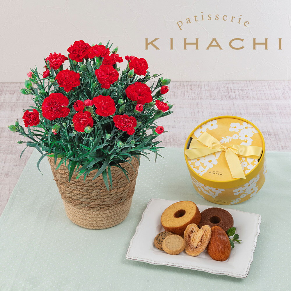 【ポイント5倍】母の日 スイーツ 花 パティスリー キハチ「アソートBOX M(シーズナル)」とカーネーション鉢(レッド)のセット 日比谷花壇のサムネイル