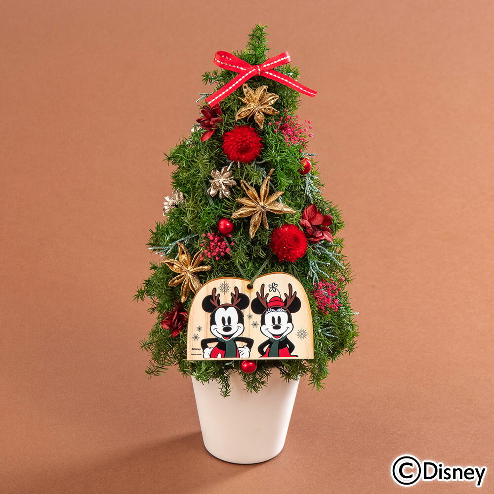 【お届けは12/24まで】クリスマス ディズニー プリザーブド&ドライフラワーアレンジメント「ハッピーホリデー(ミッキーマウス&ミニーマウス)」 日比谷花壇