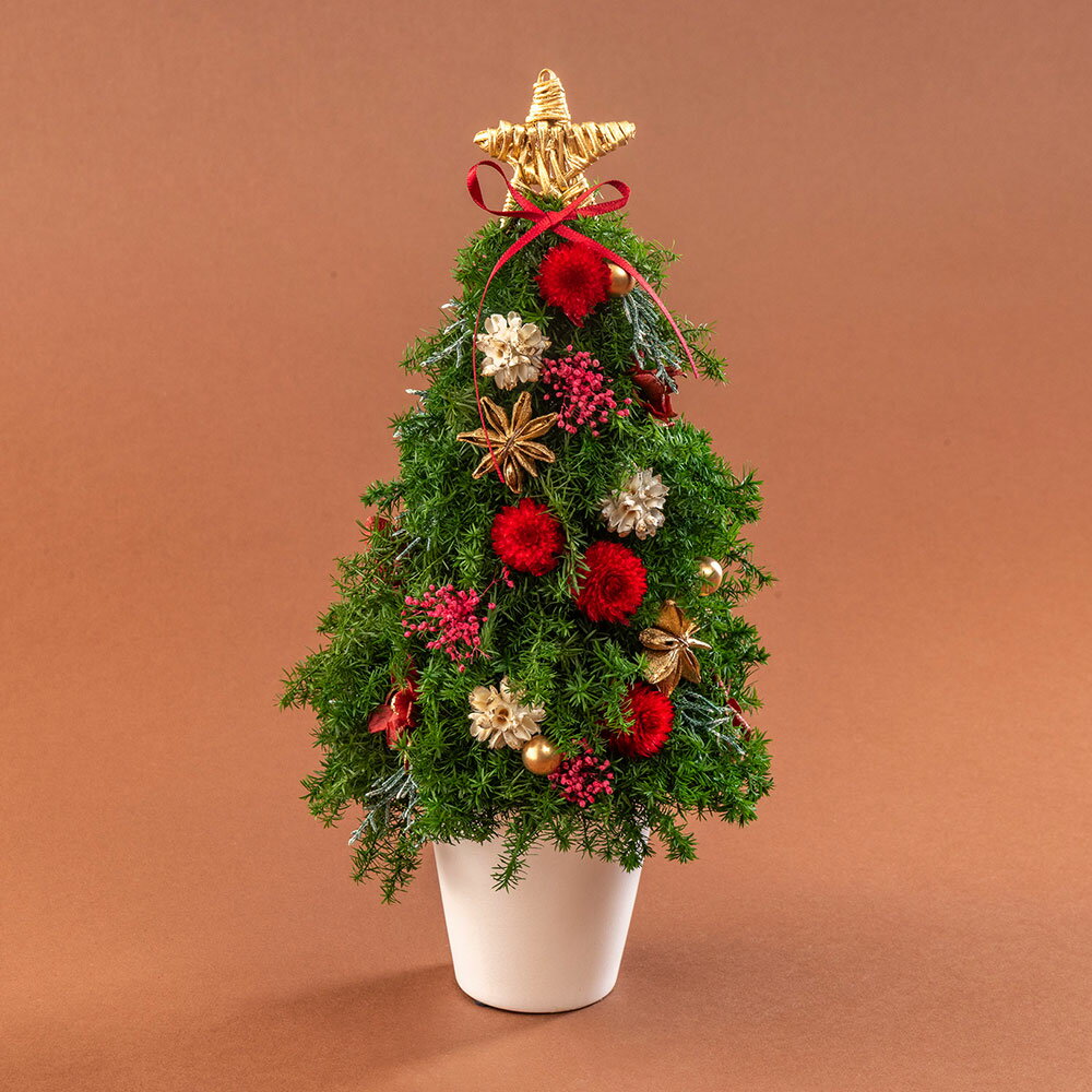 【お届けは12/24まで】クリスマス プリザーブド＆ドライフラワー ツリー「アルブル ド ノエル」 日比谷花壇 クリスマスギフト 花 クリスマス飾り クリスマス インテリア クリスマスツリー プリザーブドフラワー Xmas プレゼント お祝い プレゼント 結婚記念日のサムネイル