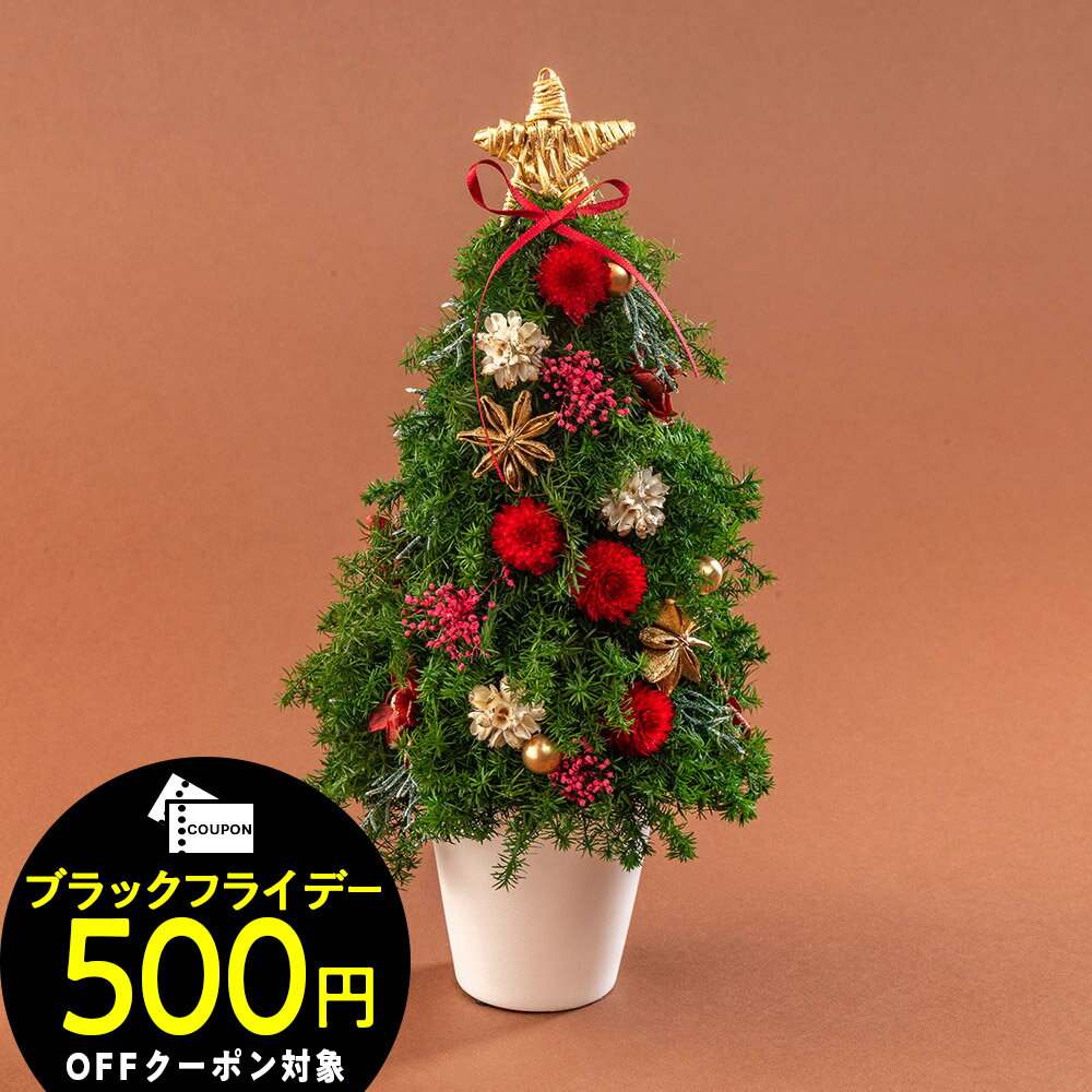 【お届けは12/24まで】クリスマス プリザーブド＆ドライフラワー ツリー「アルブル ド ノエル」 日比谷花壇 クリスマスギフト 花 クリスマス飾り クリスマス インテリア クリスマスツリー プリザーブドフラワー Xmas プレゼント お祝い プレゼント 結婚記念日
