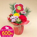 ★スーパーSALE600円OFFクーポン配布中★お正月 そのまま飾れるecoブーケ「干支寿(えとことぶき)」 日比谷花壇 正月飾り 2026 正月 花束 お正月 花束 正月飾り お正月飾り 正月花 ブーケ お年賀 飾り お祝い 送料無料 玄関 生花 おしゃれ メッセージカード 正月ギフト