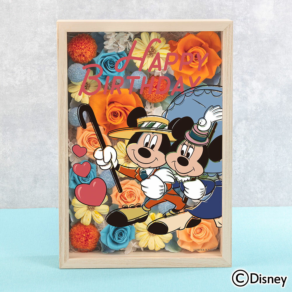   ǥˡ եե졼ॢȡ֥ϥåԡСǡ(ߥåޥߥˡޥ) ë Disneyzone ץꥶ֥ɥե ƥեե ǰ  뺧ǰ  å