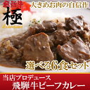 【衝撃価格】飛騨牛がたっぷり入った贅沢カレー！　増税前に！常備食はリッチに☆極Kiwamiプロデュース飛騨牛ビーフカレー選べる辛さマイルド＆スパイシータイプなんと6食入り★本格派の貴方へ！【RCP】【TOKAI20140802】