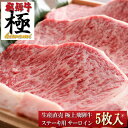 飛騨牛 極 焼き肉 ◆極上飛騨牛ステーキ用サーロイン250g×5枚◆5つ星ホテル直営 産地直送 贈答品 牛肉 和牛 年始 正月 お歳暮 景品 内祝 贈り物 引き出物 ギフト 焼肉 おうち焼肉 バーベキュー クリスマス Xmas