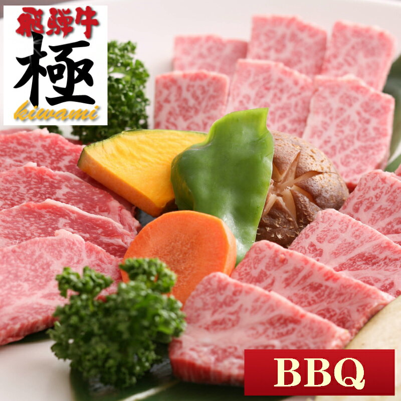 NEW【バーベキューセット】THE焼肉★ギガ盛り1.5kg　BBQセット飛騨牛入り　みんなで バーベキュー 満足の5人前　 【焼肉1.5kg】 【日曜..