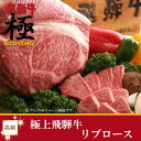 楽天EXPOAward2012★地域特産品賞受賞【産地直送】極上飛騨牛リブロース500g★お好みのスライス方法をチョイス 【楽ギフ_のし】おうち割 ふっこう福袋 復袋 お取り寄せグルメ 観光地応援 高級食材料