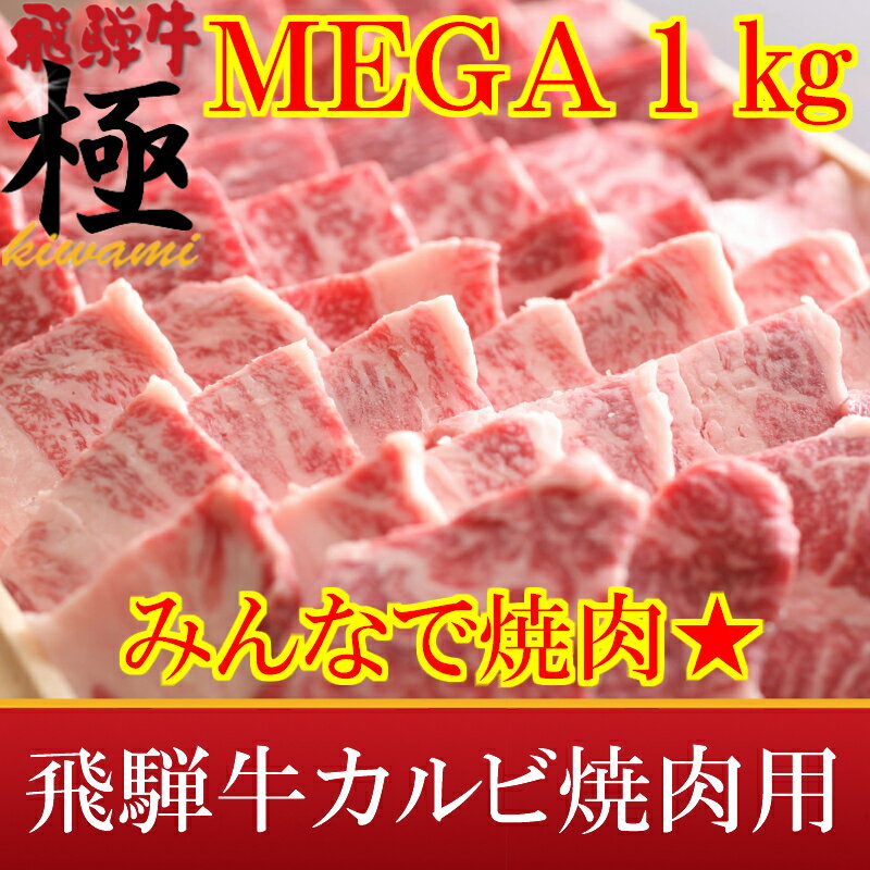 MEGA盛り1kg★がっつり系★極上飛騨牛カルビ焼肉用おうち割 ふっこう福袋 復袋 お取り寄せグルメ 観光地応援 高級食材料