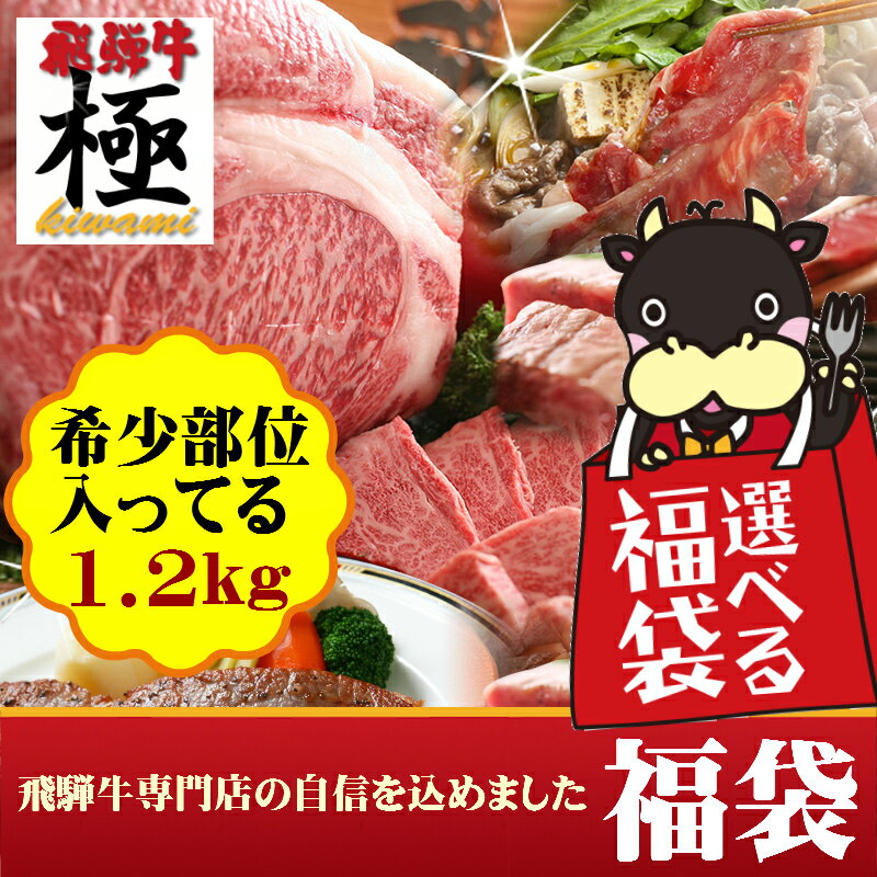 New◆飛騨牛 極◆飛騨牛専門店の自信を込めました選べる【福袋】特別販売★【稀少部位入】選べる3タイプA〜Cタイプどれを選んでもどど〜んと1,200g