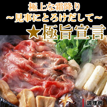 ◆お中元◆霜降り極旨宣言★【すき焼き】極上飛騨牛リブロース500g【産地直送】あす楽年中無休可能【RCP】10P01Mar15