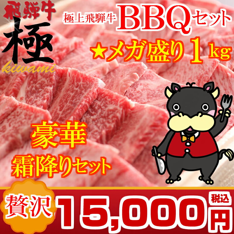 楽天飛騨牛　極kiwami【バーベキューセット】THE焼肉★メガ盛り1kg贅沢霜降りBBQセット　ちょっと贅沢なバーベキューです！ 【焼肉1kg】 【日曜営業】 【土曜営業】おうち割 ふっこう福袋 復袋 お取り寄せグルメ 観光地応援 高級食材料