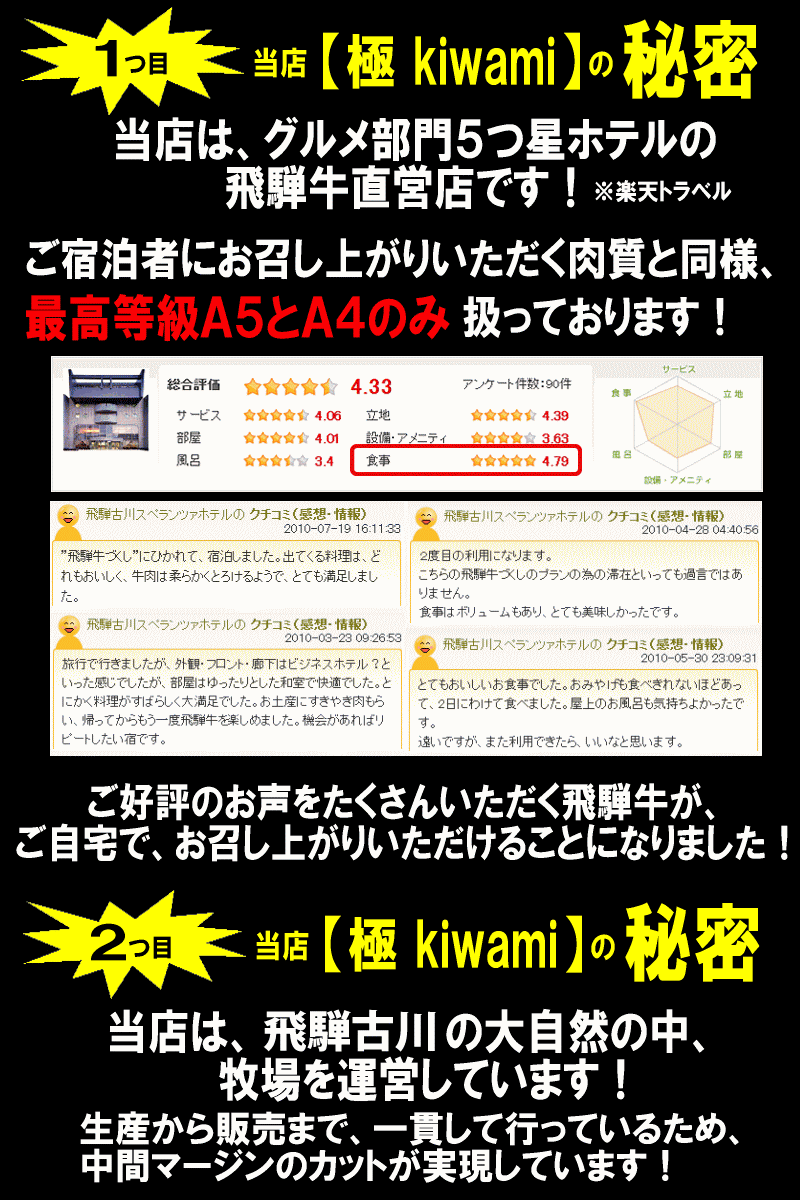 ◆極上飛騨牛ステーキ◆サーロイン250g×5枚5つ星ホテル直営　産地直送 父の日 お中元 贈答 贈り物 プレゼント お返し 結婚記念日 結婚式 引き出物 ギフト 牛肉 和牛 岐阜県 飛騨 おうち割 ふっこう福袋 復袋 お取り寄せグルメ 観光地応援 高級食材 BBQ