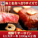 飛騨牛 極 ステーキ 食べ切りサイズ極上飛騨牛ステーキ用 ミニサーロイン 100g×2枚★ 【日曜営業】 【土曜営業】おうち割 ふっこう福袋 復袋 お取り寄せグルメ 観光地応援 高級食材料