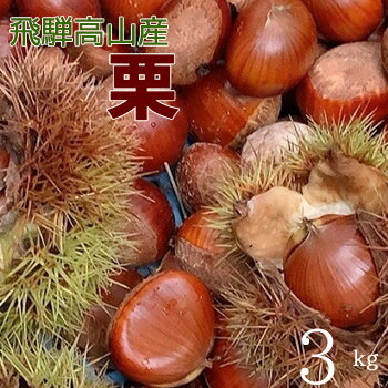 【無農薬栽培】栗（無選別）3キロ 生栗　栗　くり　渋皮煮・製菓・栗ジャムにもおすすめ　岐阜県産　飛騨高山産のサムネイル