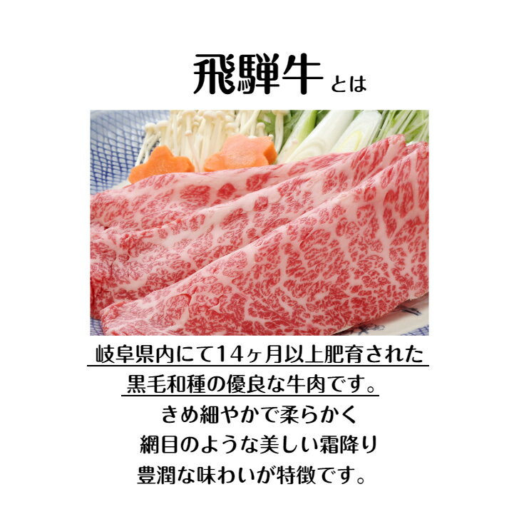 飛騨牛みすじウデやきにく用 送料無料 飛騨牛 焼肉 ブランド牛 黒毛和牛 国産牛 牛肉 お肉 肉 霜降り A5 A4