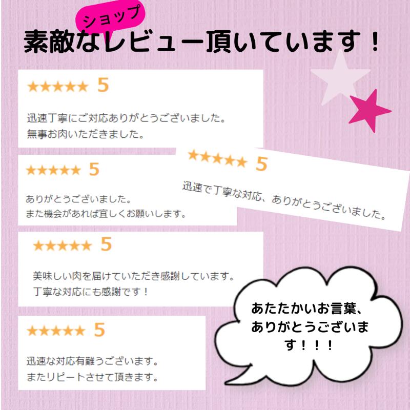 飛騨牛 しゃぶしゃぶ用 肩ロース ギフト 送料...の紹介画像2