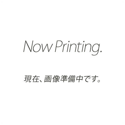 クランツレ 業務用高圧洗浄機用アクセサリー 極細ネットワイヤーホース 豆ノズル 20m 070 ワンタッチ式 クイックカップリング WM07020Q【代引き不可・メーカー直送】