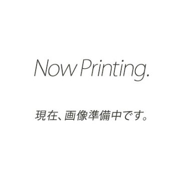 クランツレ 業務用高圧洗浄機用アクセサリー 極細ネットワイヤーホース 豆ノズル 20m 070 ワンタッチ式 クイックカップリング WM07020Q【代引き不可・メーカー直送】