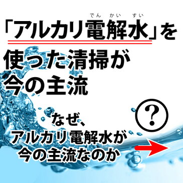 【除菌】ヒダカ 強アルカリ電解水（pH13.2）20L カークリーニング業務用 車 クルマ シート 殺菌 消臭 タバコ 車内 掃除 お掃除 ノンアルコール ウイルス対策【レビュープレゼント対象】【送料無料】