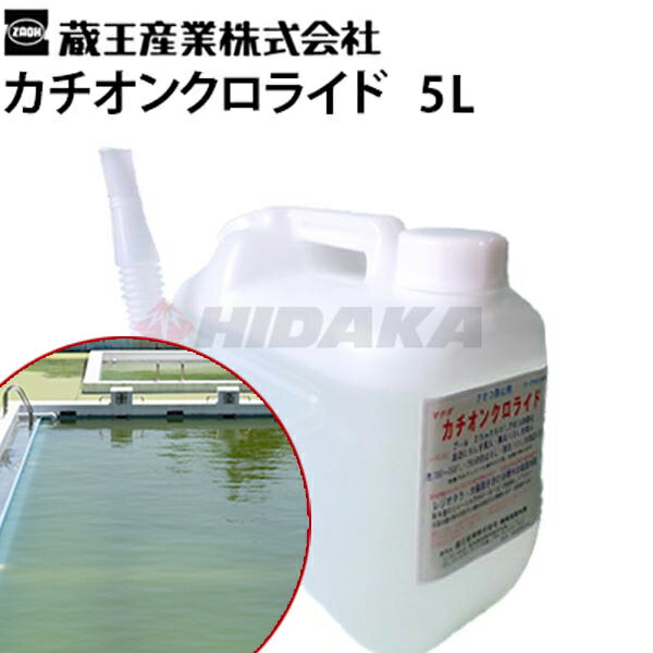 蔵王産業 業務用 藻防止剤 カチオンクロライド 5L（池・シーズンオフプール用）5リットル (cach-5l-01) 藻対策 除去剤 掃除 も モ 緑 緑色 ニオイ 臭い くさい 学校 人工池 庭 ≪離島不可・代引き不可・メーカー直送≫