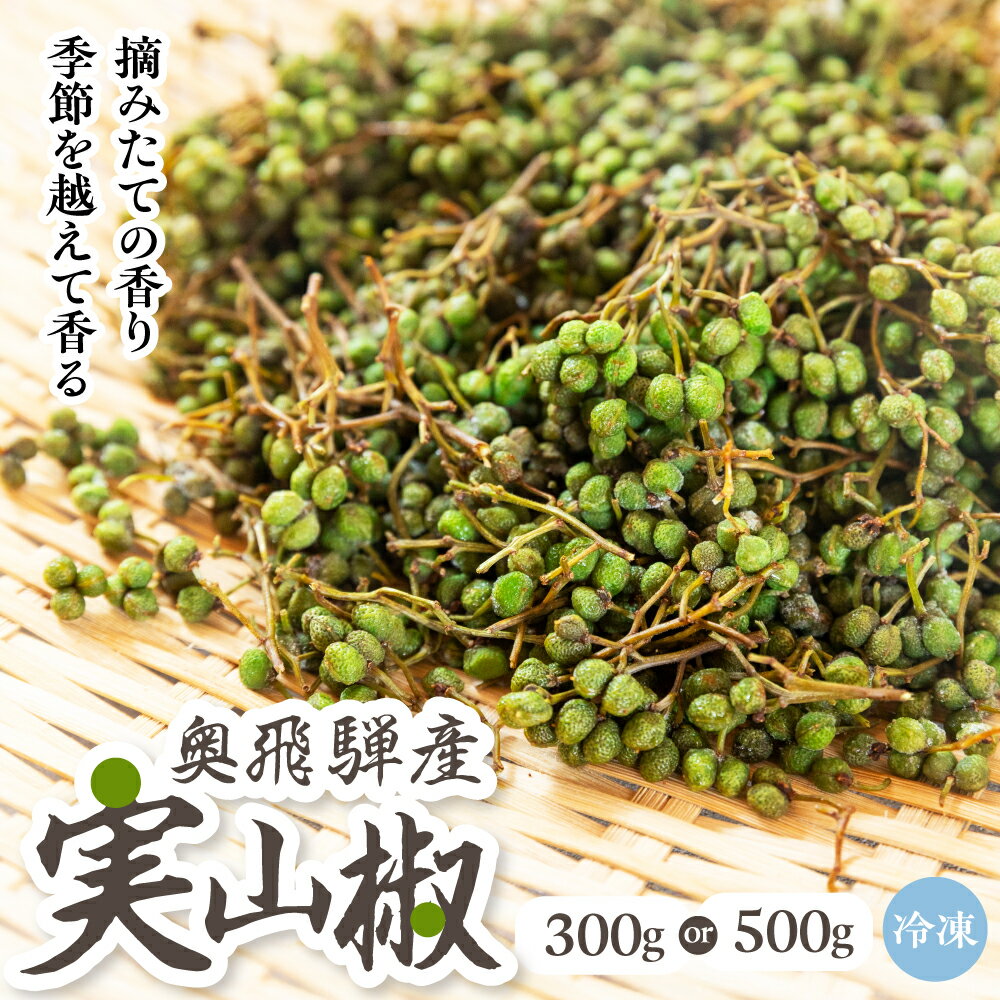 ＼レビュー特典／ 新物 2025年収穫 飛騨産 山椒 実山椒 300g 500g 冷凍 枝付き アク抜き 未処理 飛騨 ..