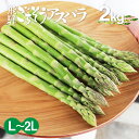 朝採れ 国産 グリーンアスパラガス L~2L 2kg 夏アスパラガス 飛騨のごちそうアスパラ アスパラ 農家直送 水村農園 飛騨 旬野菜 産地直送 春野菜 旬の贈り物 バーベキュー 焼肉 おうちごはん にも