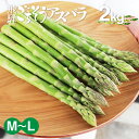 朝採れ 国産 グリーンアスパラガス M~L 2kg 夏 アスパラガス 食用 飛騨のごちそうアスパラ アスパラ 送料無料 飛騨 旬野菜 産地直送 水村農園 農家直送 バーベキュー 焼肉 にも 直送