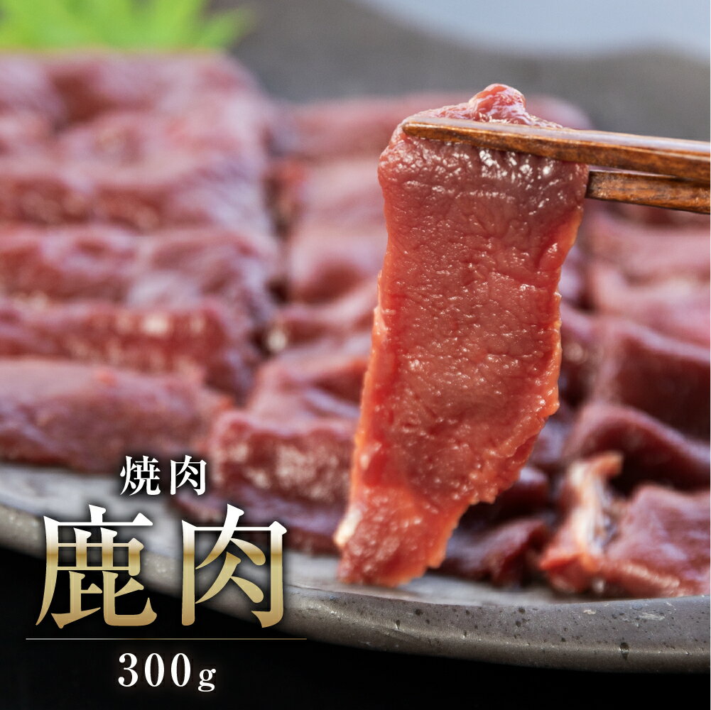 【関ジャニクロニクルFで話題】飛騨ジビエ ジビエ 鹿肉 焼肉 300g 鹿モモ肉 猟師 肉 シカ 鹿 シカ肉 飛騨狩人工房
