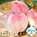 お中元 夏ギフト 桃【食べチョク 金賞受賞農家】糖度15度以上 2玉 桃ギフト 贈答用 甘い 柔らかい 品種 特上 朝採れ 飛騨のたから桃 白桃 甘くてジューシーな モモ 高級 産地直送 ギフト 品種お任せ 日川白鳳 みさか白鳳 白鳳 あかつき 昭和白桃 川中島白桃