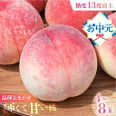 お中元 夏ギフト 桃 【食べチョク 金賞受賞農家】糖度13度以上 硬肉品種 4-6玉 小箱 桃ギフト 贈答用 最高級 甘い 硬い 品種 硬い桃 桃 飛騨のたから桃 特選 朝採れ 高級 ギフト 品種お任せ ( シーエックス 幸茜 川中島) つむぎ果樹園