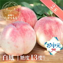 お中元 夏ギフト 桃 【食べチョク 金賞受賞農家】 白鳳 糖度13度以上 2玉 桃ギフト 贈答用 甘い 柔らかい 品種 特上 朝採れ 飛騨のたから桃 白桃 甘くてジューシーな モモ 高級 産地直送 ギフト 飛騨高山(4)