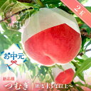 お中元 夏ギフト 桃 【食べチョク 金賞受賞農家】 つむぎ 糖度13度以上 2玉 桃ギフト 贈答用 甘い 柔らかい 新品種 特上 朝採れ 飛騨のたから桃 白桃 甘くてジューシーな モモ 高級 産地直送 ギフト 飛騨高山